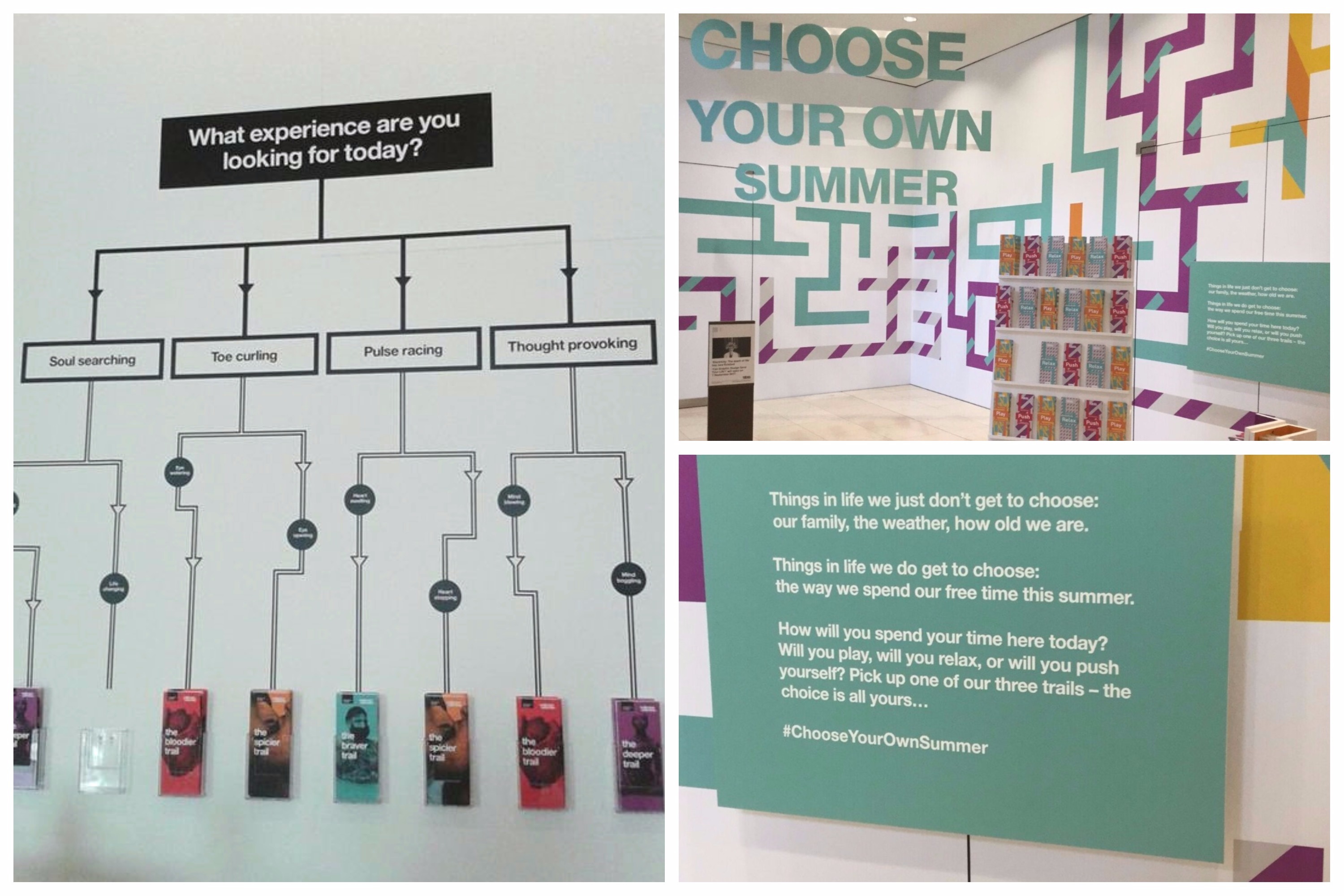 Choose your own summer trails at Wellcome Collection with flow chart helping you choose a trail that is most suited to what you want to experience,