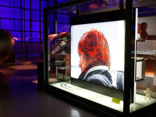The Who Am I? gallery at the Science Museum, London