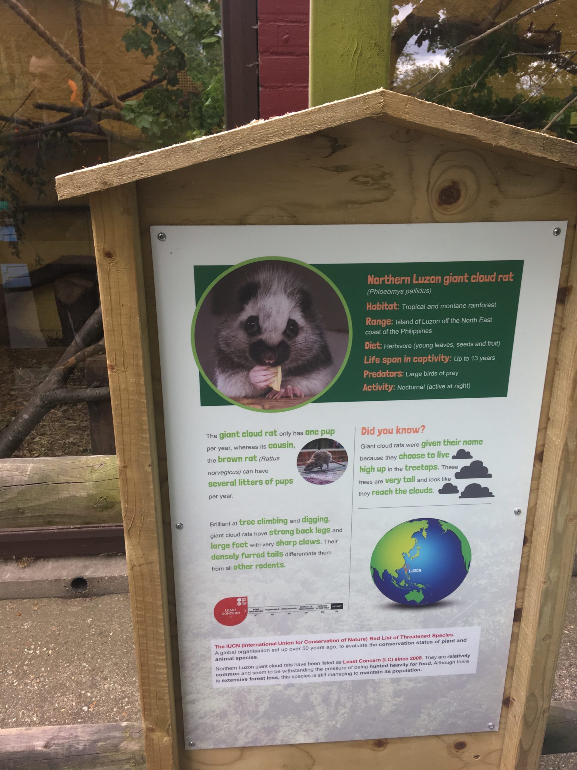 Out and about Battersea Park Children's Zoo Learning