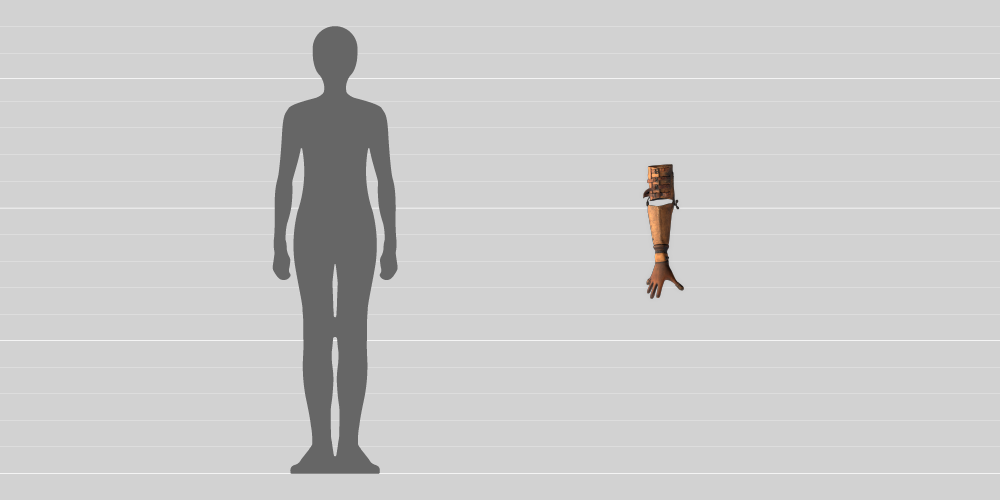 A comparison in size between a 1.8-metre-tall human and the 50cm-long artificial arm. 