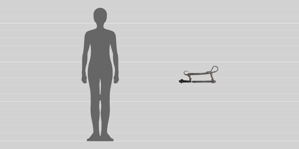 A comparison in size between a 1.8-metre-tall human and the 22cm amputation saw. 