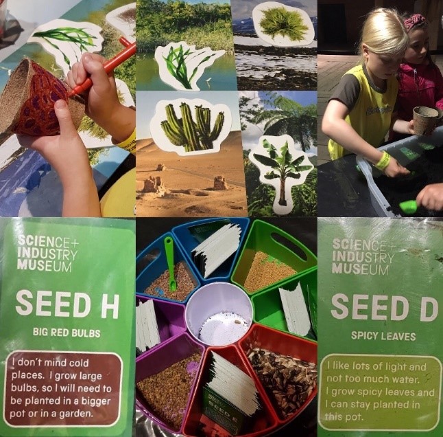 A collage of images from the Plant Power workshop.