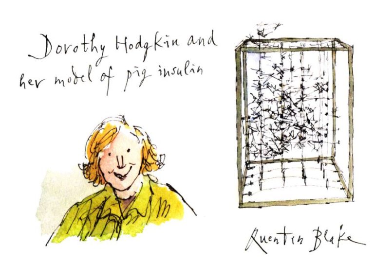 Science Museum Great object hunt Quentin Blake Learning