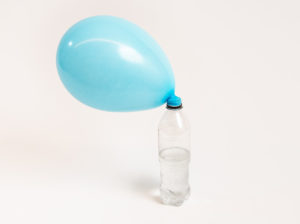 Inflated balloon attached to the top of a bottle. There is vinegar inside the bottle which has just reacted with biocarbonate of soda to inflate the balloon using carbon dioxide