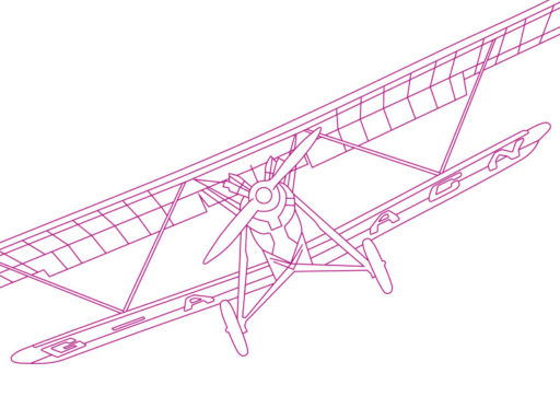 Outline of the "Gugnunc" aeroplane from Mathematics: the Winton gallery